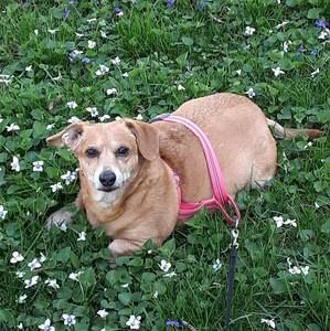 Meet your Posher, Deanna